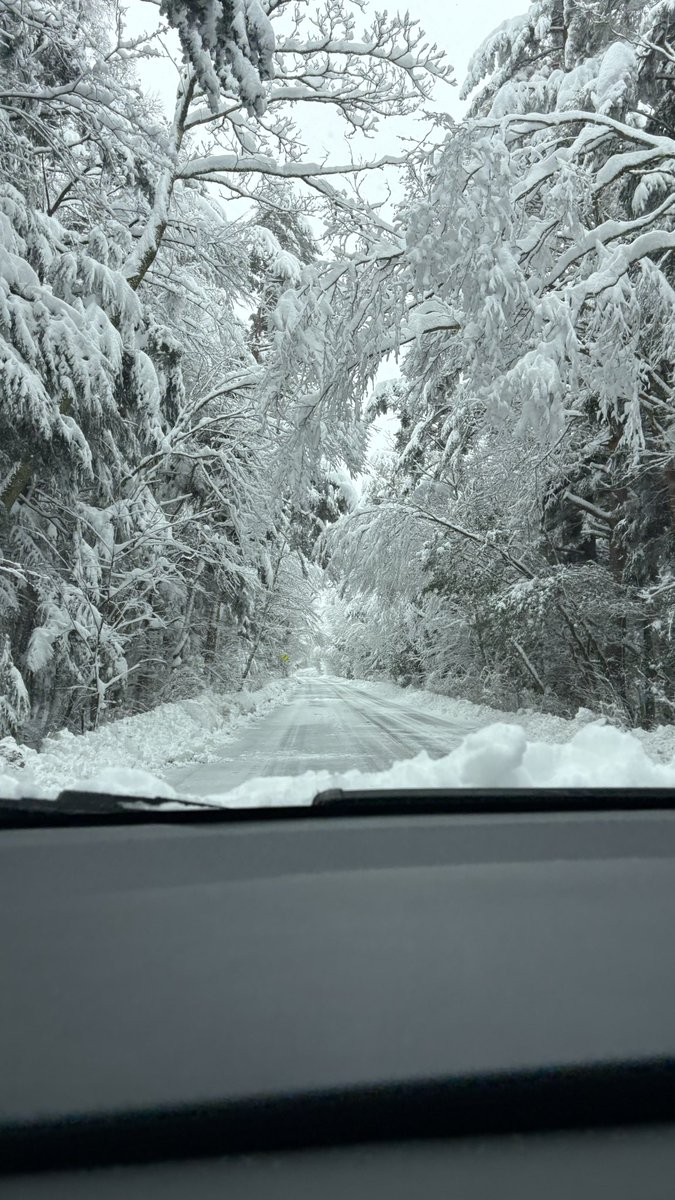 おはようございます☀️
週末富士急ハイランドへ行ってきました🎢
6年ぶりの富士急…久しぶりに楽しめました✨
最近NARUTOを読んでいるので、木ノ葉隠れの里のエリアが分かるのも嬉しかったです🍂笑
そして山梨県は3月中旬でも大雪でした⛄️
今週は4営業日のみですが、引き締めて頑張ります🔥