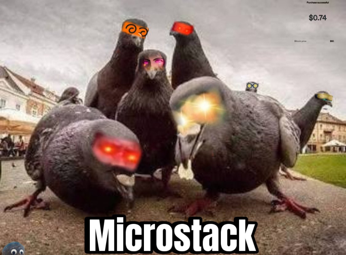 WaldoVision3's tweet image. E8B74 #microstack #microstackgang 

Coo coo