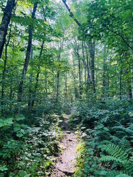 Beautiful mountains to hike together