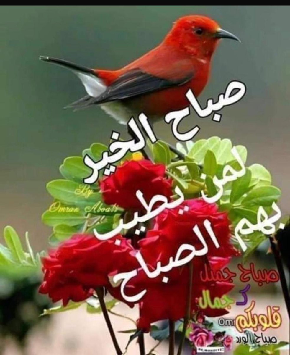 حسين ياسر الخطيب (@alwrdt72323) on Twitter photo 