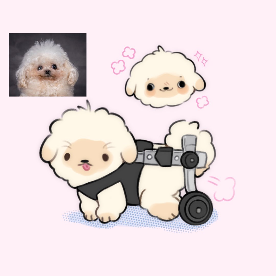 I love him I’d die for him