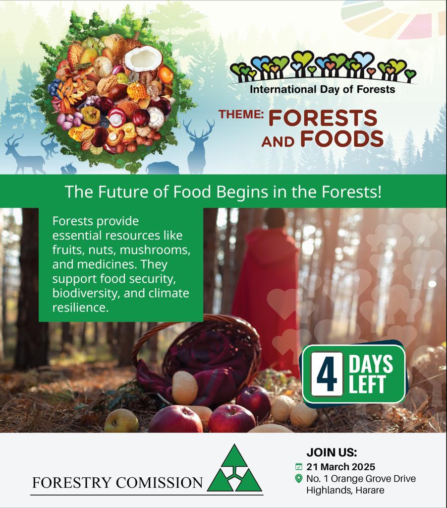 Forestry Commission Zimbabwe (@forestrycom1) on Twitter photo Join us this Friday in commemorating the International Day of Forests
<a href="/DSLIPZim/">Drylands sustainable landscape impact program</a> <a href="/MOECW_ZIMBABWE/">Min of Environment, Climate and Wildlife Zimbabwe</a> <a href="/EMAeep/">E.M.A</a> <a href="/faosfsafrica/">FAO Subregional Office for Southern Africa</a> <a href="/fote_zim/">Friends of the Environment</a> <a href="/ZtaUpdates/">Zimbabwe Tourism Authority</a> <a href="/InfoMinZW/">Ministry of Information, Publicity & Broadcasting</a> <a href="/ZimForest/">Forest Research Centre Zim</a> Join us this Friday in commemorating the International Day of Forests
<a href="/DSLIPZim/">Drylands sustainable landscape impact program</a> <a href="/MOECW_ZIMBABWE/">Min of Environment, Climate and Wildlife Zimbabwe</a> <a href="/EMAeep/">E.M.A</a> <a href="/faosfsafrica/">FAO Subregional Office for Southern Africa</a> <a href="/fote_zim/">Friends of the Environment</a> <a href="/ZtaUpdates/">Zimbabwe Tourism Authority</a> <a href="/InfoMinZW/">Ministry of Information, Publicity & Broadcasting</a> <a href="/ZimForest/">Forest Research Centre Zim</a>
