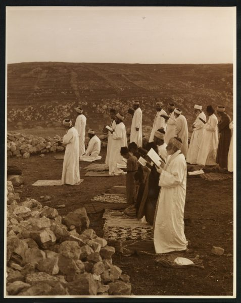 Naqad Studies tweet media