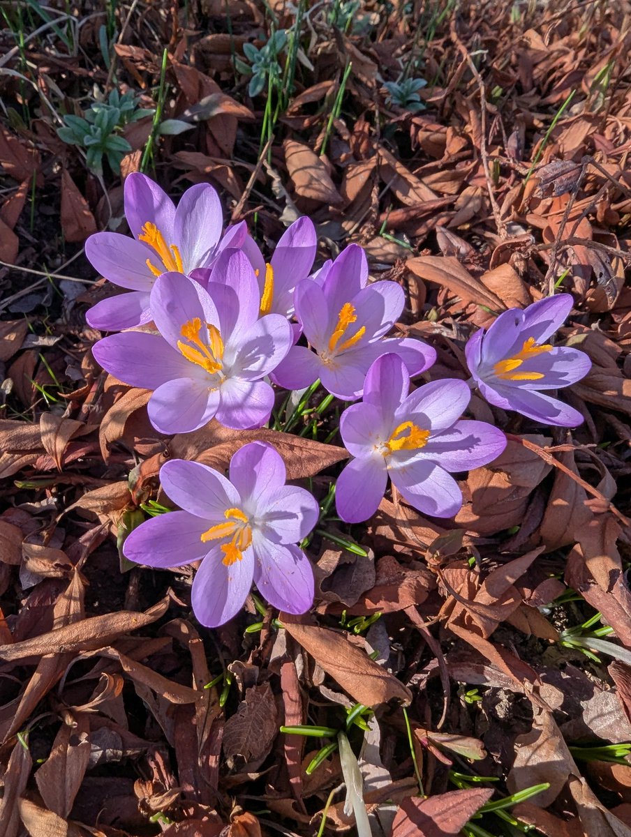 Guten Morgen meine Lieben ❤️ 
Mein Wochenende:
Kartenspielen am Freitag 
Buddeln im Garten am Samstag 
Kleine Fahrradtour am Sonntag.
Und ihr so ?
Habt einen schönen Start in die neue Woche 🍀
