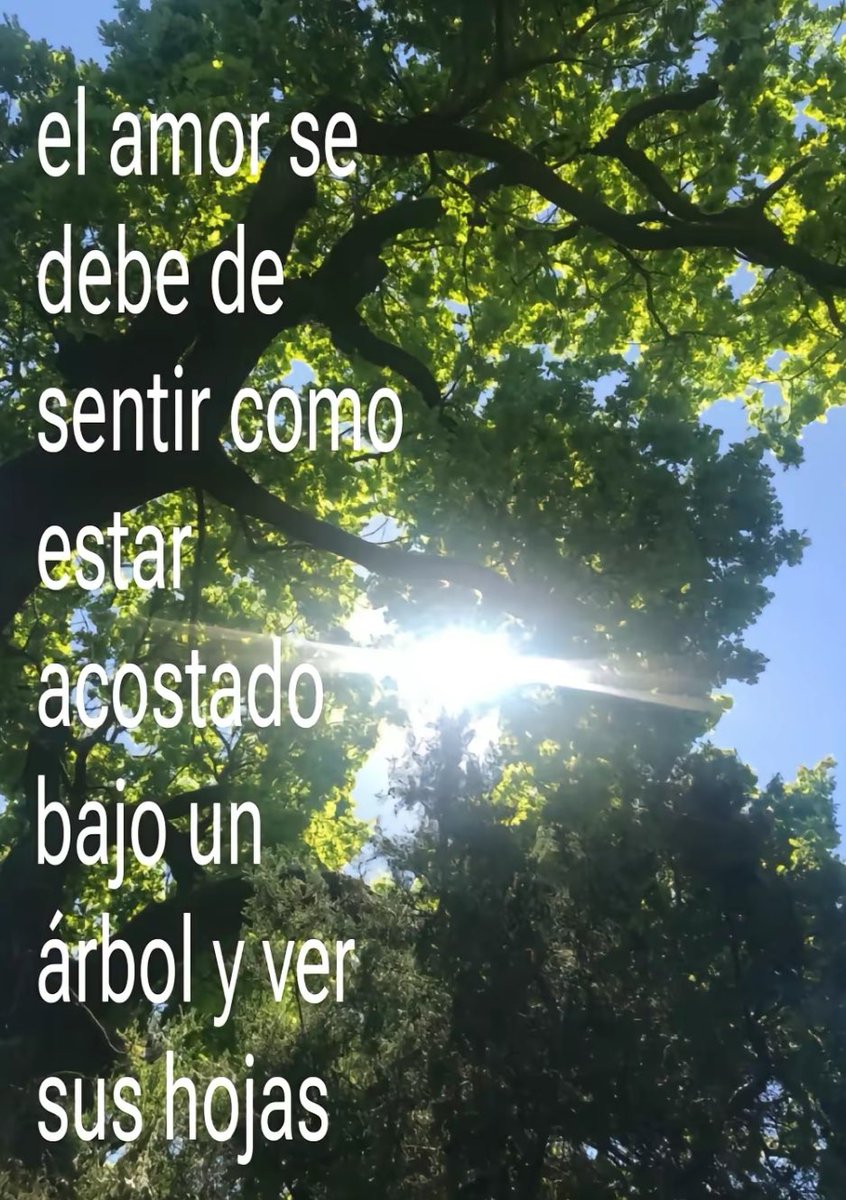 Alejo (@bjs_alejo2) on Twitter photo 