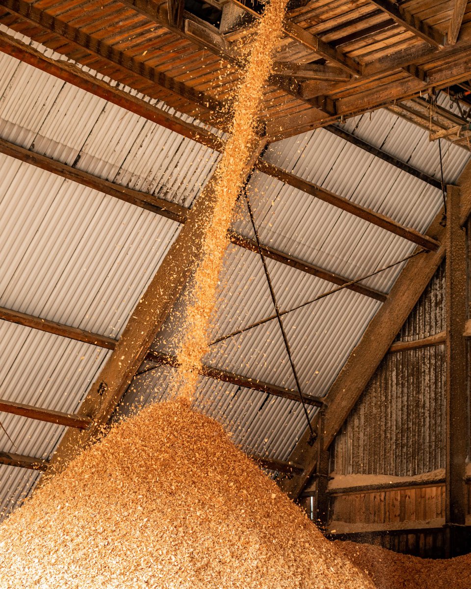 Wood products and conveyor belt don’t always mix, but with the right belt, your system can handle it. Prevent premature failures and optimize performance with the proper conveyor selection! Ask our experts to recommend the best belt for your application.