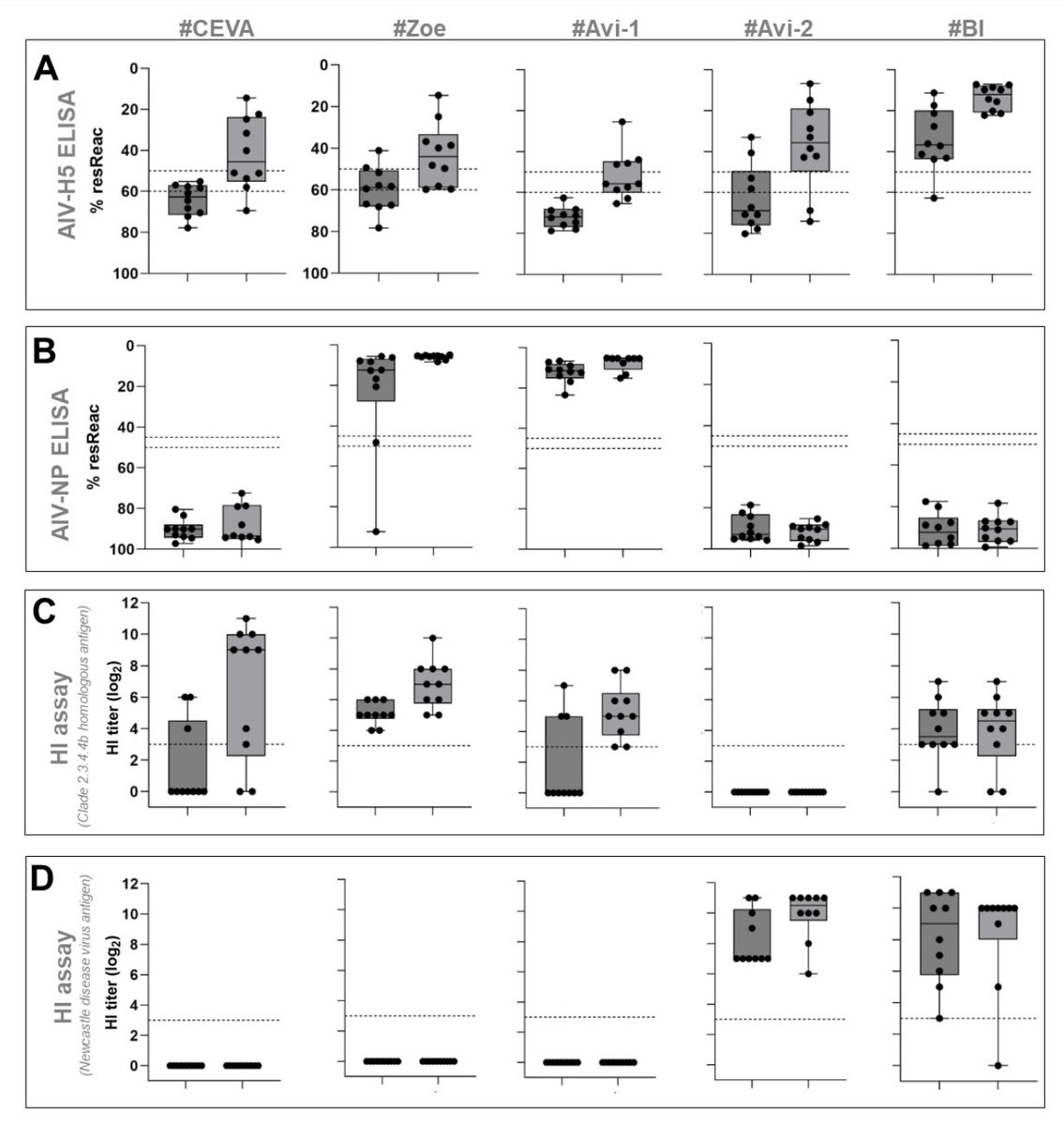 How well do different HPAI vaccines perform in foie gras geese? Two vaccines (vector, RNA) required a booster dose, a subunit vaccine and two WIV vaccines induced seroconversion after primary vaccination. Vaccinated geese protected, reduced shedding.
👉preprints.org/manuscript/202…