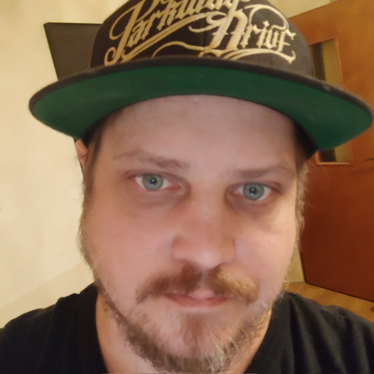 Finch2Fear tweet media
