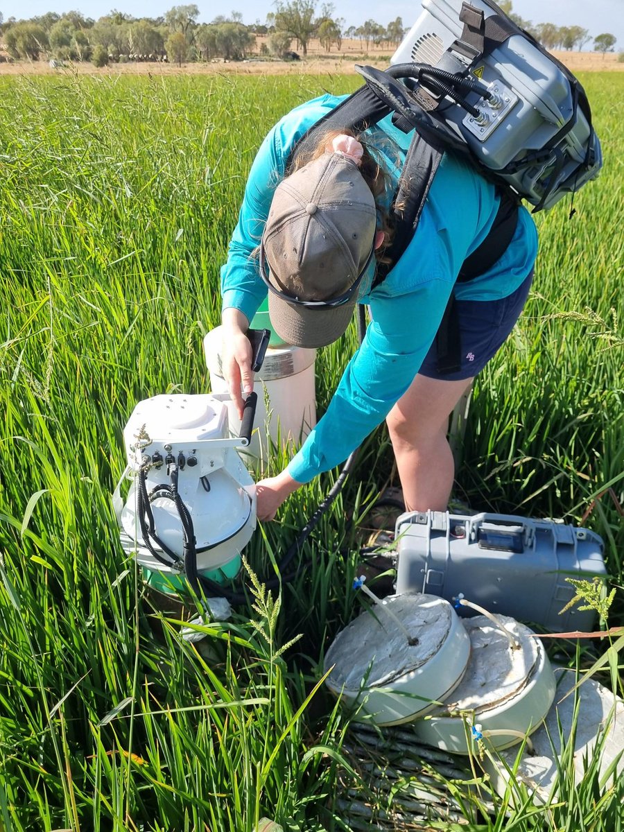 Associate Professor Wendy Quayle tweet media