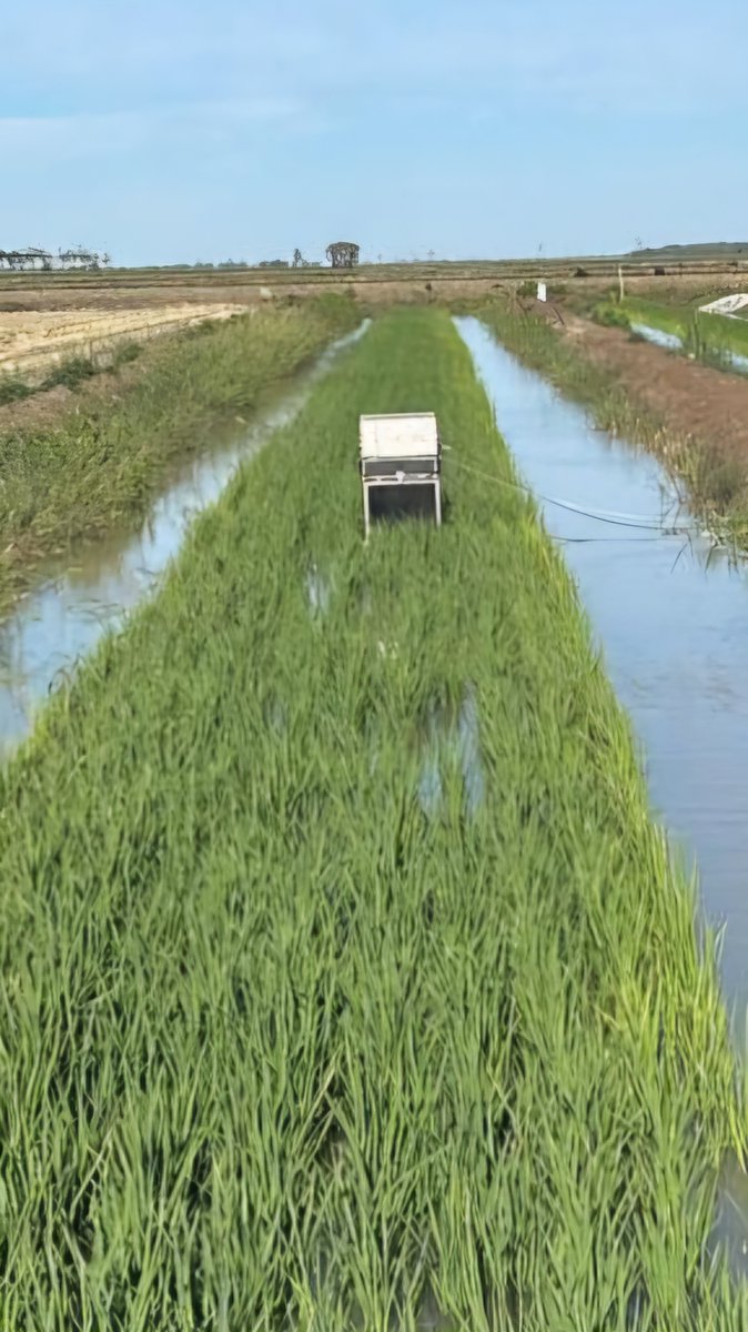 Associate Professor Wendy Quayle tweet media