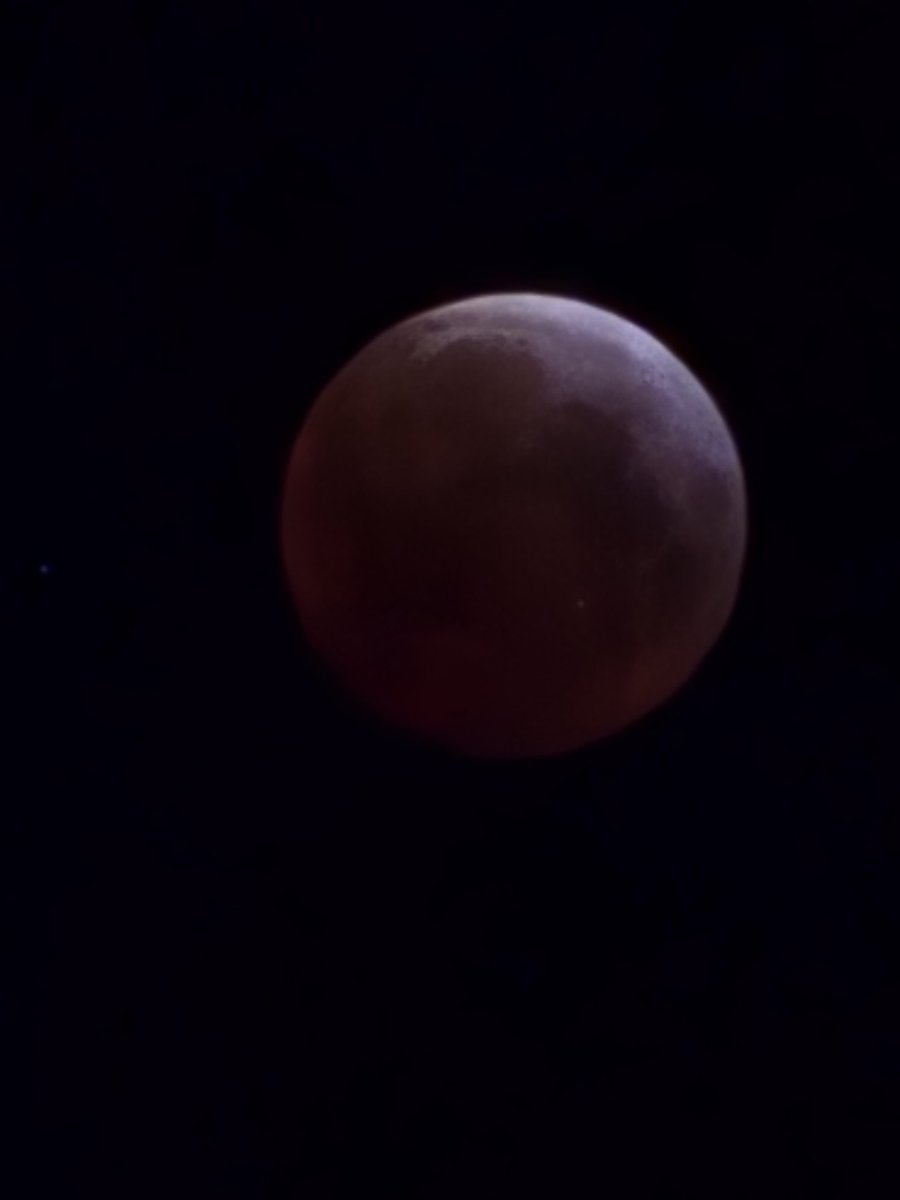 Mr Alexplayer tweet media