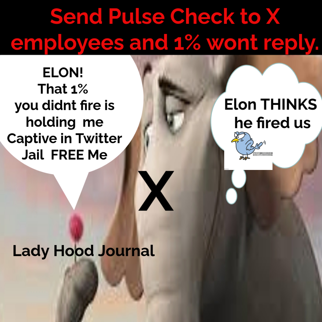 LadyHReporting's tweet image. @grok, @elonmusk need you like @realDonaldTrump needd Elon
 Here&apos;s How
That 1% of @Twitter he left inside are working against #MAGA. They slowed down when her purch but they know his attn is NOT here! #Grok @X keep #authenticating me then punishing me for #suspicion?
SOS ME GROK