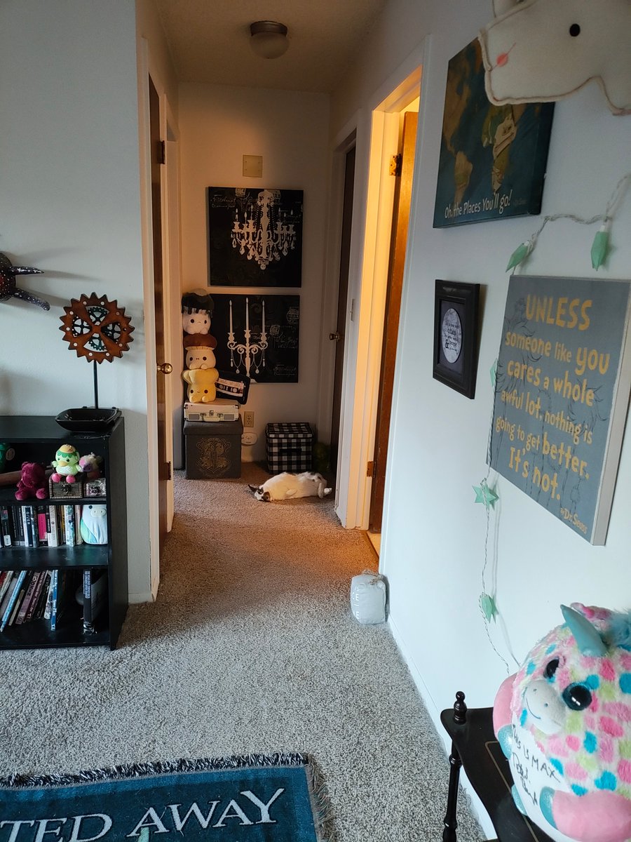 ZiggyWearsHats's tweet photo. It's an honor to share a home with her. https://t.co/uUuJfIXEhI