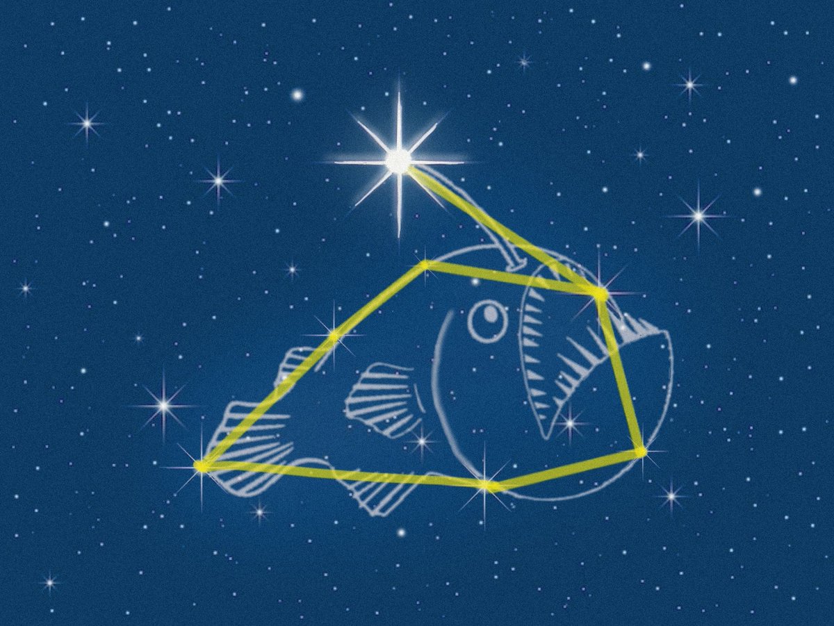#anglerfish has become a beacon of hope. She will rise. We keep swimming, and we follow the light. 

Ca: DjgujfEv2u2qz7PNuS6Ct7bctnxPFihfWE2zBpKZpump

Dex: dexscreener.com/solana/Aj2JFJZ…

Tg: 
t.me/AnglerfishRISE