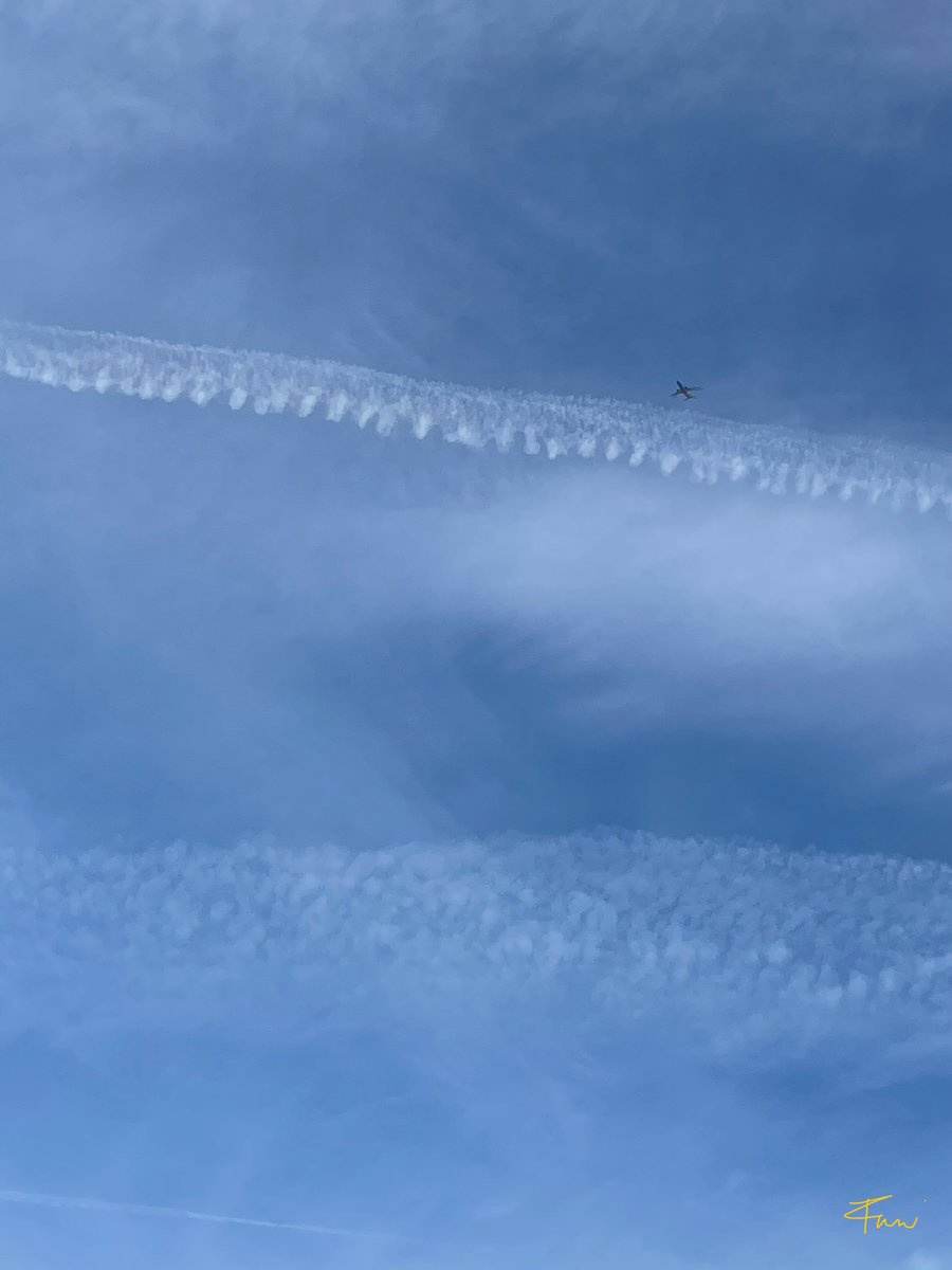 WeatherGirlofLA's tweet photo. LA Sky Show 3.16.25 🇺🇸 p.1 It’s everywhere 😳 #cloudseeding @DOGE @POTUS @RFKJr_Official @chemtrail101 @ANGRYNIC2 @DELTA9_DELTA9  @PhilBlackw80212 @IonisedSkyWatch
@birgittasauer1 
@danewigington https://t.co/7h0giI41Yr