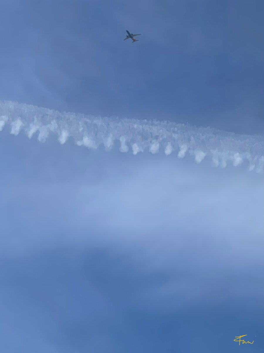WeatherGirlofLA's tweet photo. LA Sky Show 3.16.25 🇺🇸 p.1 It’s everywhere 😳 #cloudseeding @DOGE @POTUS @RFKJr_Official @chemtrail101 @ANGRYNIC2 @DELTA9_DELTA9  @PhilBlackw80212 @IonisedSkyWatch
@birgittasauer1 
@danewigington https://t.co/7h0giI41Yr