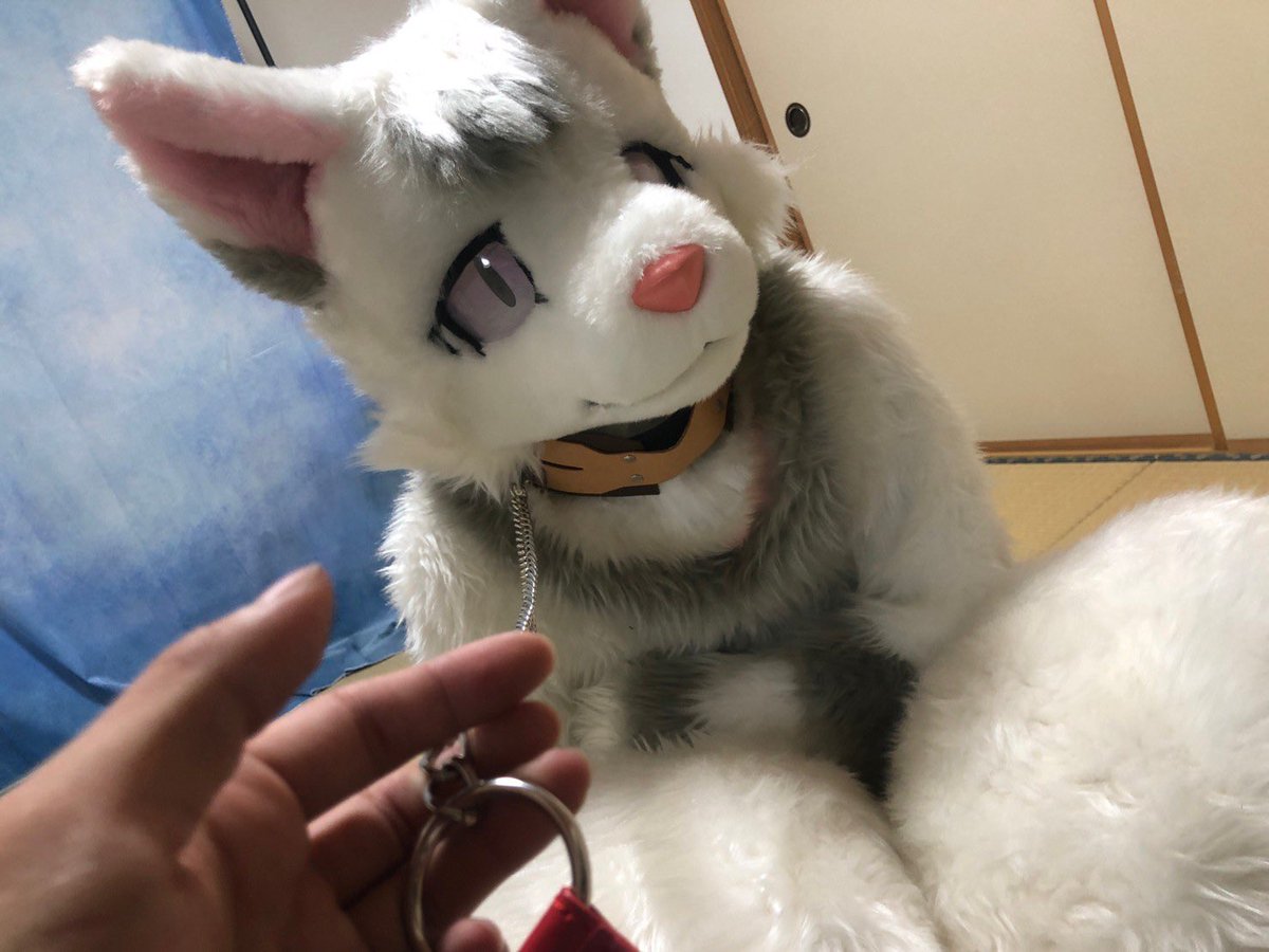 アスタ(ヘチのすがた)@A-23管理人 tweet media