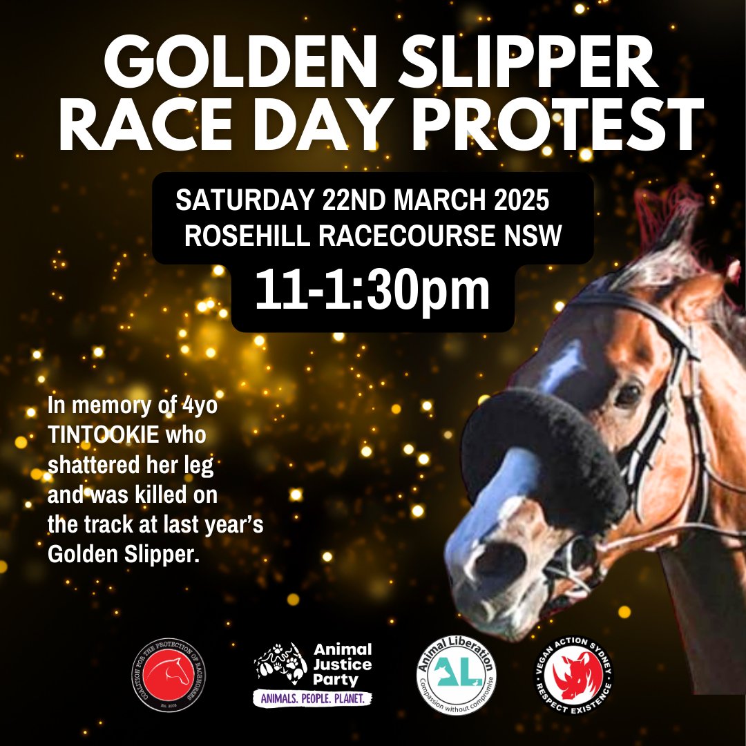 SYDNEY! This Saturday 22nd is your chance to help speak up against two-year-old racing and be a voice for all other horses who are forced to risk their lives on the racetrack. Join us by the entry to Rosehill Gardens Racecourse, Grand Avenue, Rosehill, from 11am📢🐴🙏🏼