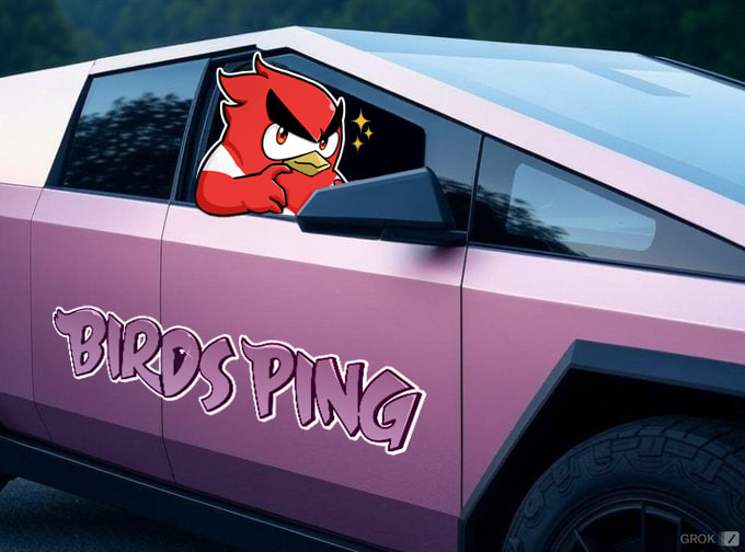 BirdsPing tweet media