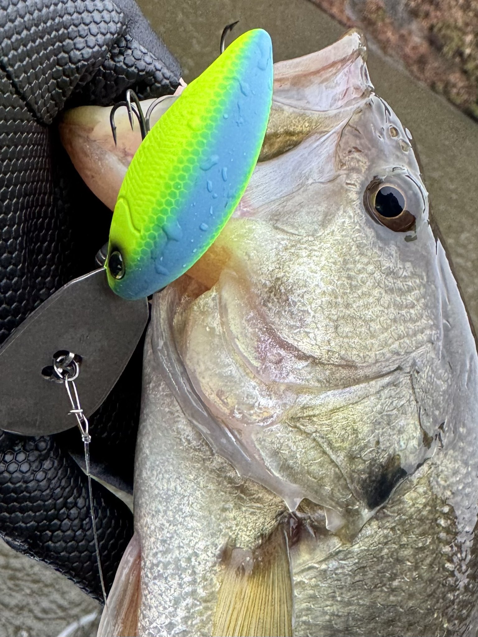Ryo Sakurai【MPB LURES】【GRAVEL】 (@mpb_lures) / X