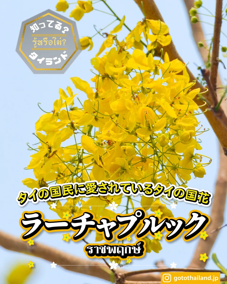 GmNPo7ea8AADSFB?format=webp&