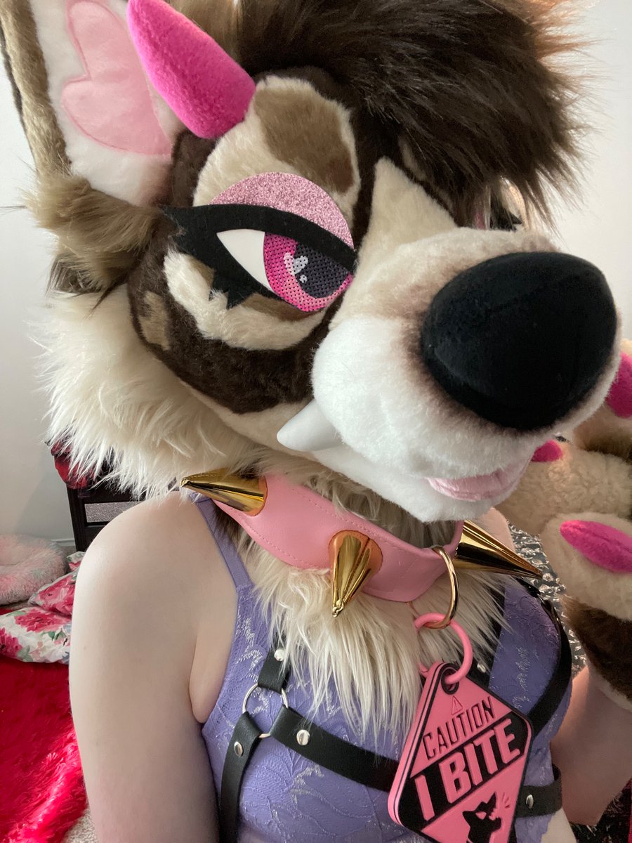 Puppy girl hours ‼️