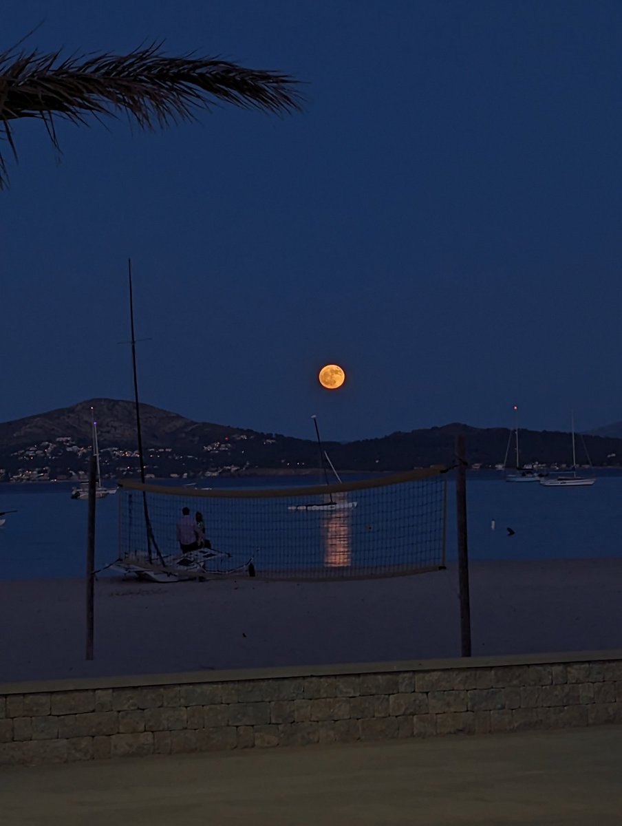 solcorporal's tweet image. gn legends 🫡

new week same grind 💯