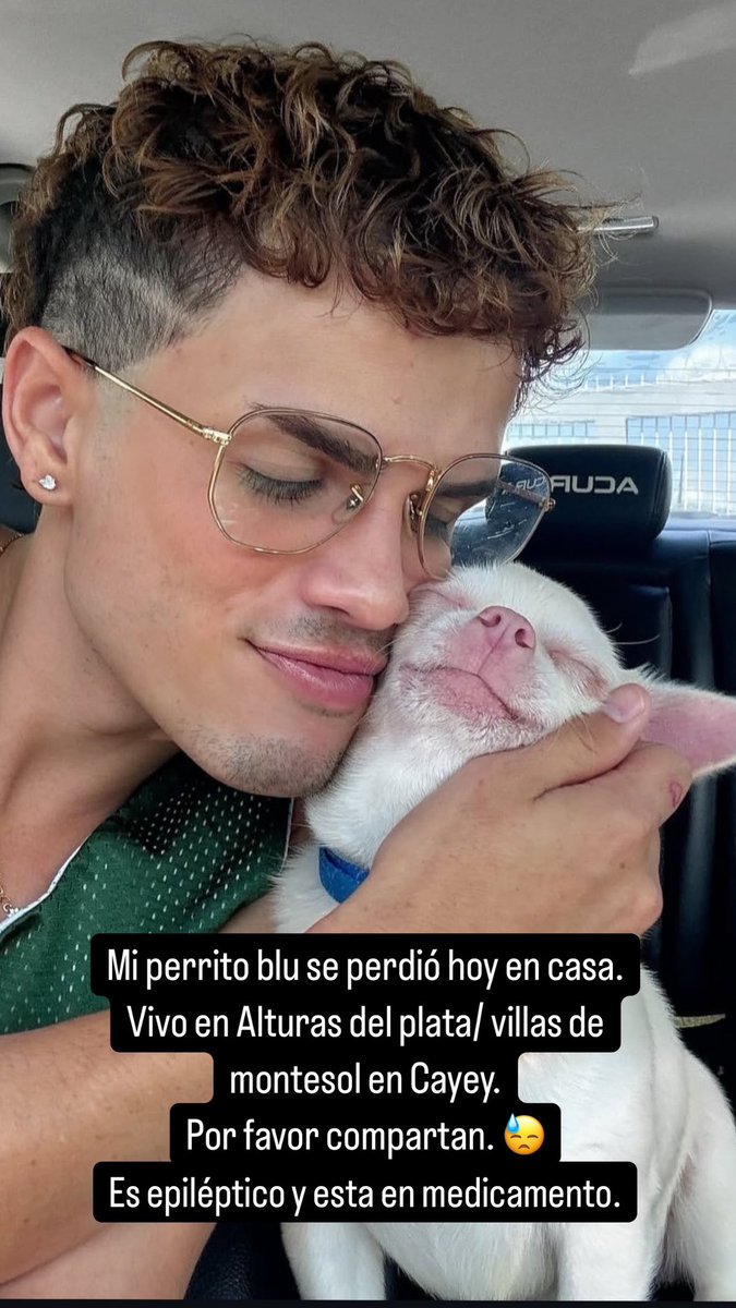 ariadnaperkins's tweet image. Perdí a mi bebe. 🚨 
📍 cayey (alturas del plata/montesol)
Por favor share.