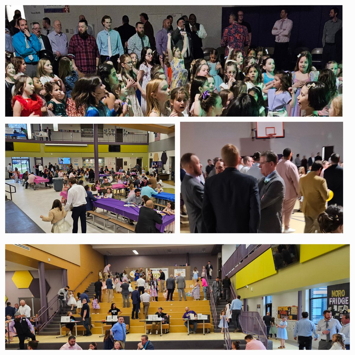 North Royalton Bears Softball tweet media