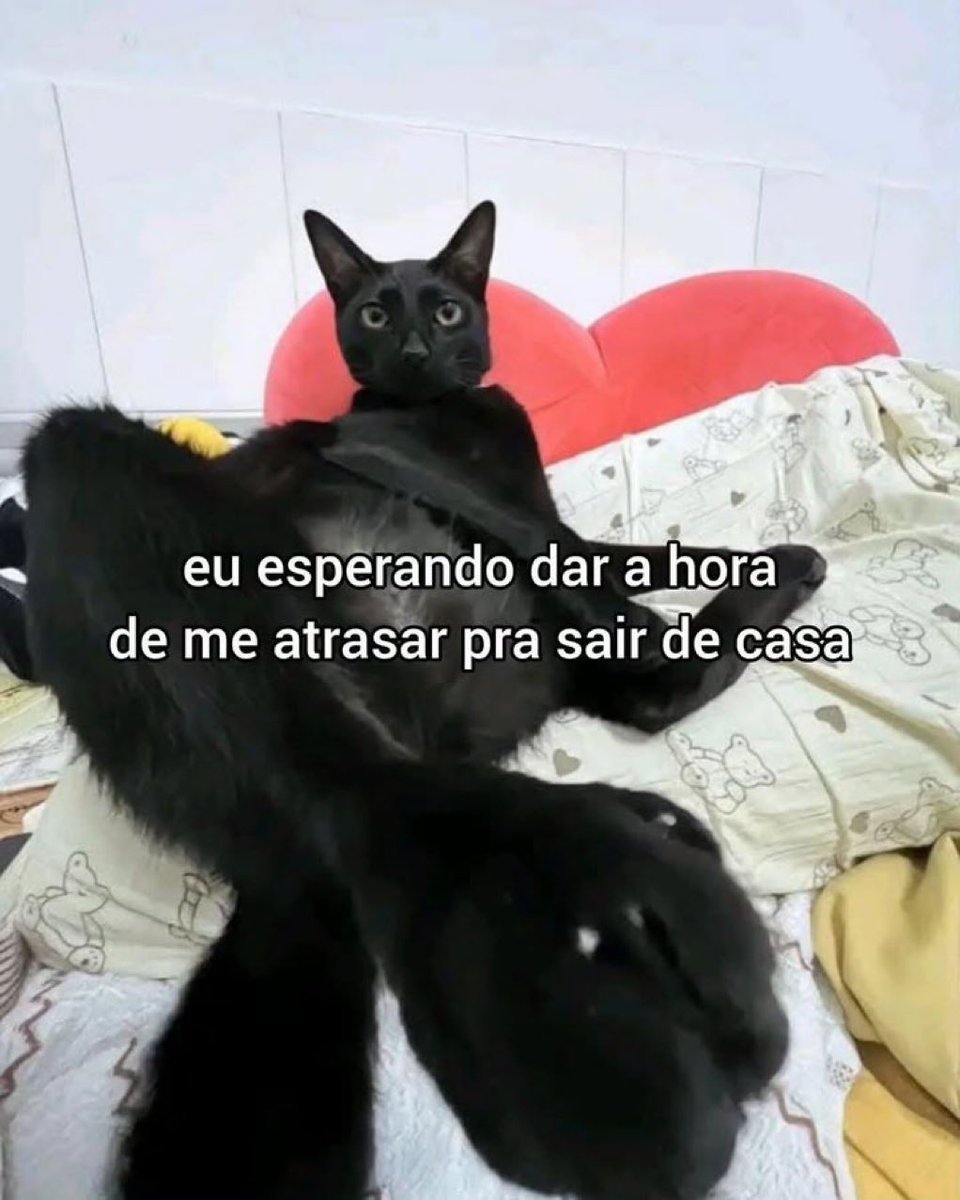 teu caos (@sobreteucaos) on Twitter photo 