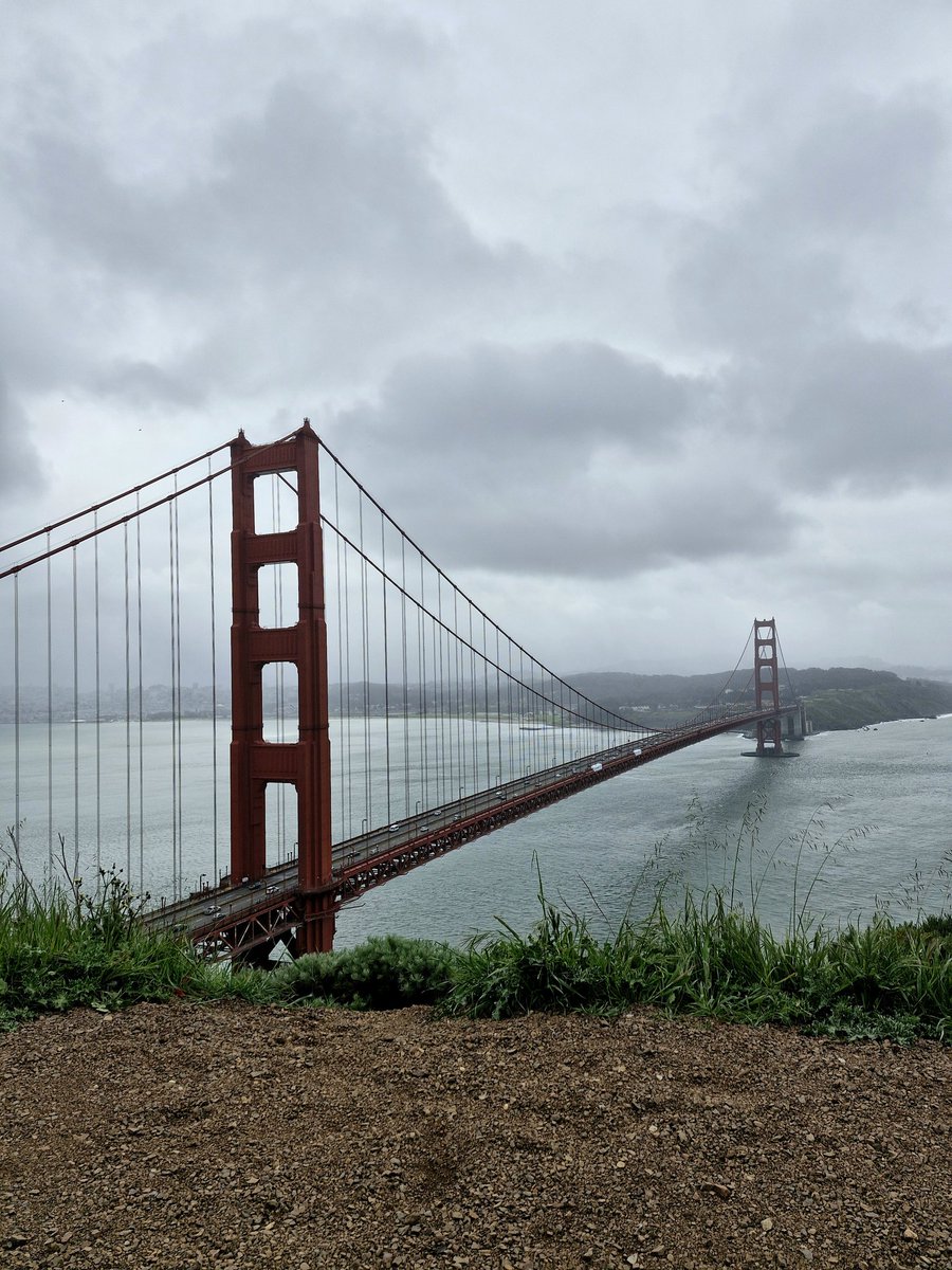 dorota_sedek's tweet photo. My one and only free day at NVIDIA GTC 2025! Soaking in the energy of San Francisco and its vibe 🌁
So far? Loving every bit of it 🥰
🚀 Conference mode back on tomorrow, but for now… just enjoying the moment.
#sanfrancisco #GTC2025 #entrepreneurlife #ceolife #remoteceo https://t.co/IiVSk1T3u3