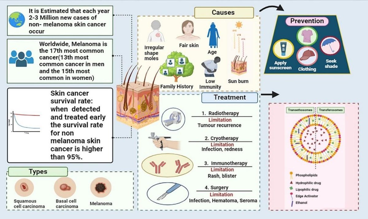 Transethosomes-based drug delivery systems are opening new possibilities for skin cancer treatment, improving effectiveness while reducing side effects!
#skin #cancer #drugdelivery
<a href="/SciOpenTUP/">SciOpenTUP</a> <a href="/BiomedNano/">Nano Biomed. Eng.</a> 
sciopen.com/article/10.265…