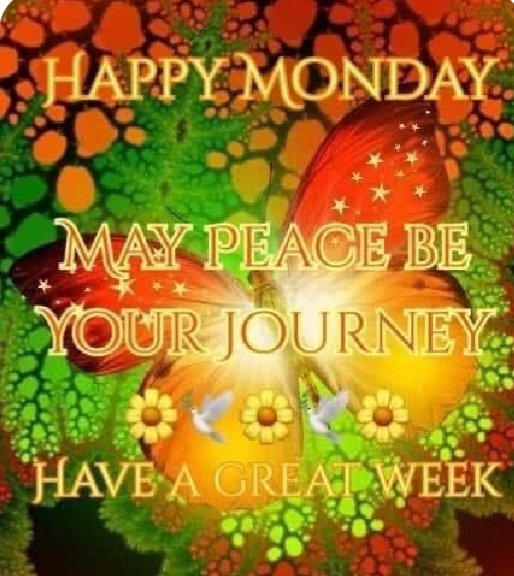 Terryll Jordaan (@jordaan86010) on Twitter photo 