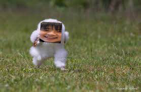 <a href="/Ishikorotau2/">いしころ@夏コミ</a> 顔はこちら