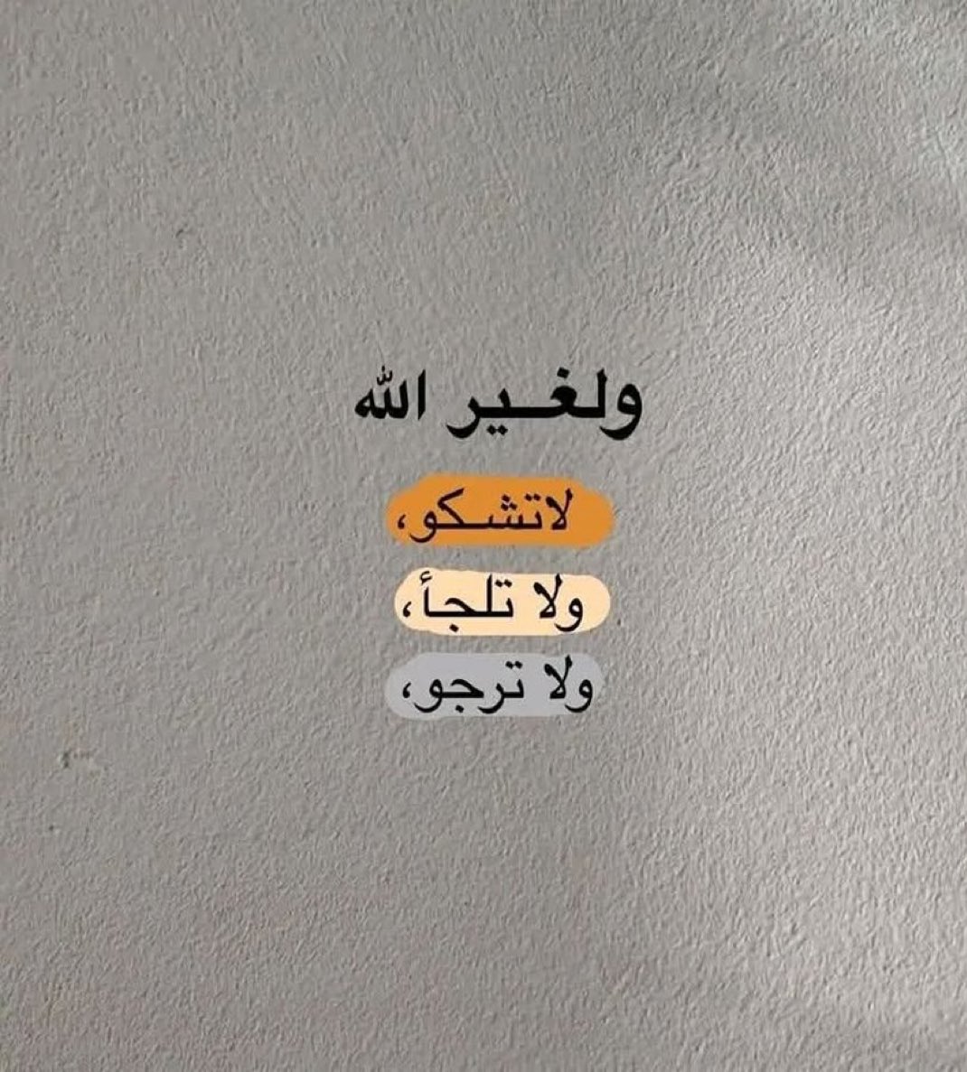 baseeil's tweet image. 