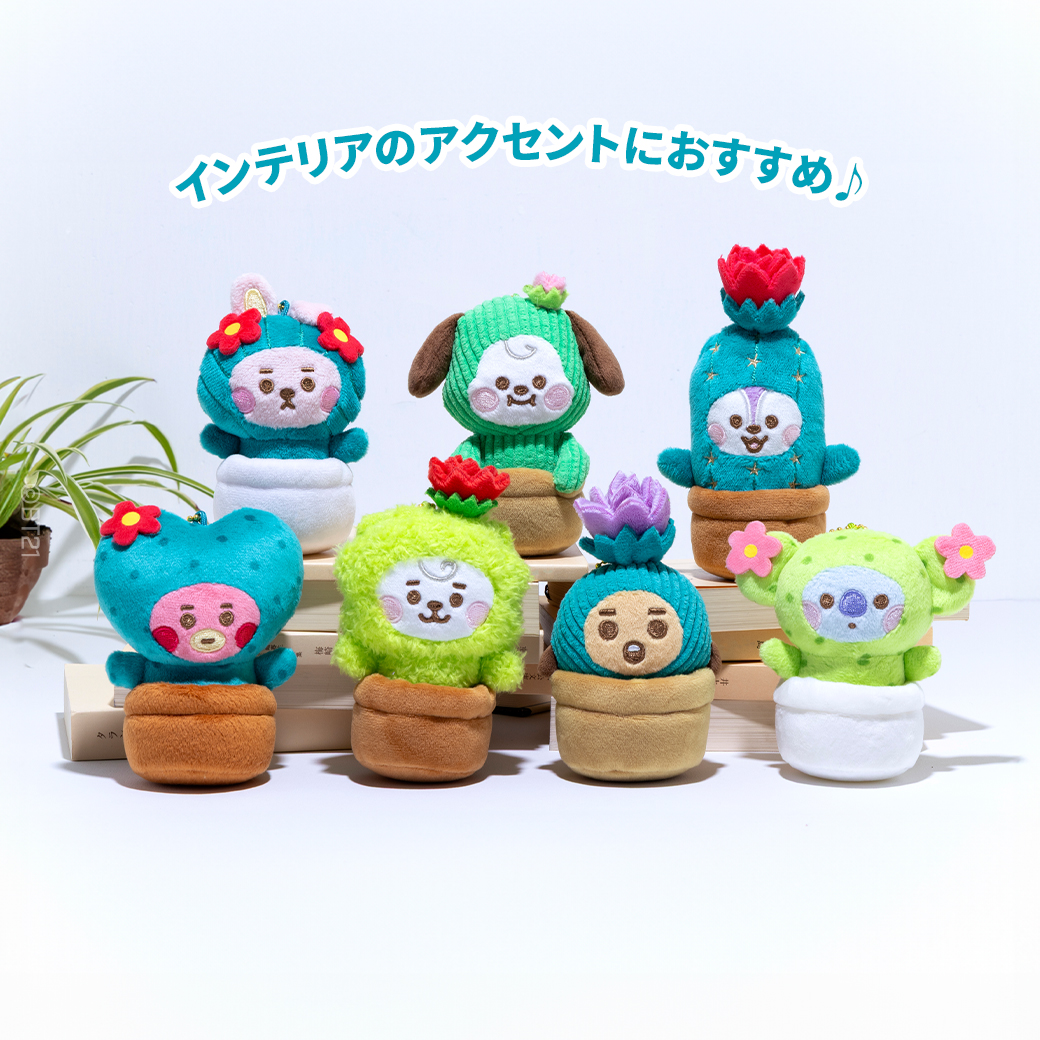 Little Friendsシリーズに新しい仲間が登場💫 今回は人気のサボテンに