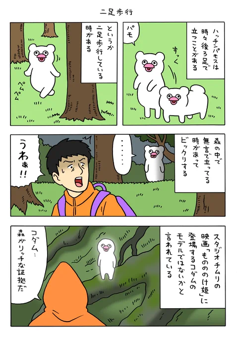 絶滅寸前の動物ハッチンパモス「二足歩行」 https://t.co/8KCPWpd1hM 