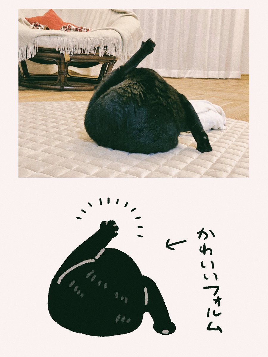 モチモチでポテポテのフォルム 