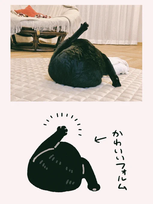 モチモチでポテポテのフォルム 