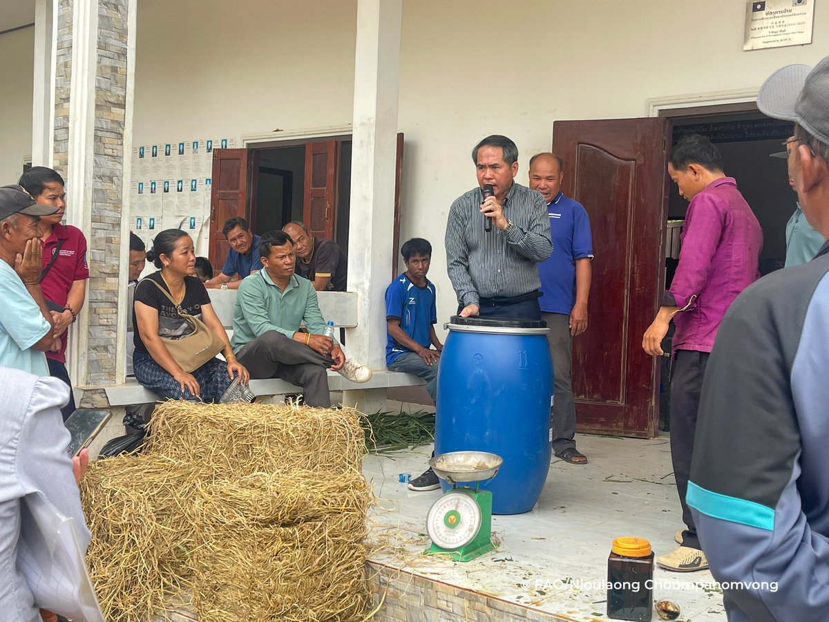 FAOLaoPDR's tweet image. 🚨 Lao PDR steps up flood emergency livestock management!🚨
FAO & partners in Savannakhet are advancing disaster preparedness with new guidelines:
✅ Train local govs to manage livestock in floods
✅ Help communities evacuate animals
✅ Ensure feed security with silage