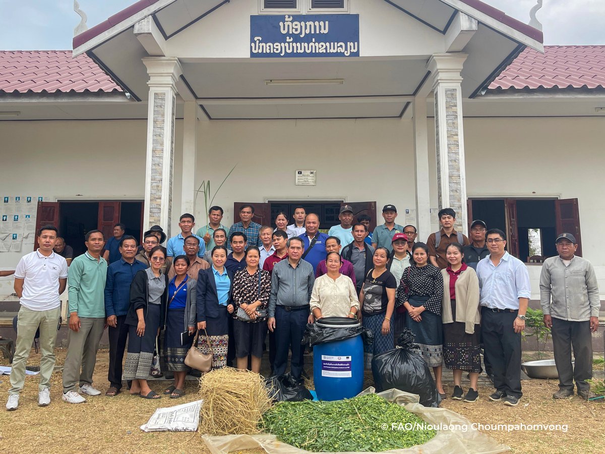 FAOLaoPDR's tweet image. 🚨 Lao PDR steps up flood emergency livestock management!🚨
FAO & partners in Savannakhet are advancing disaster preparedness with new guidelines:
✅ Train local govs to manage livestock in floods
✅ Help communities evacuate animals
✅ Ensure feed security with silage