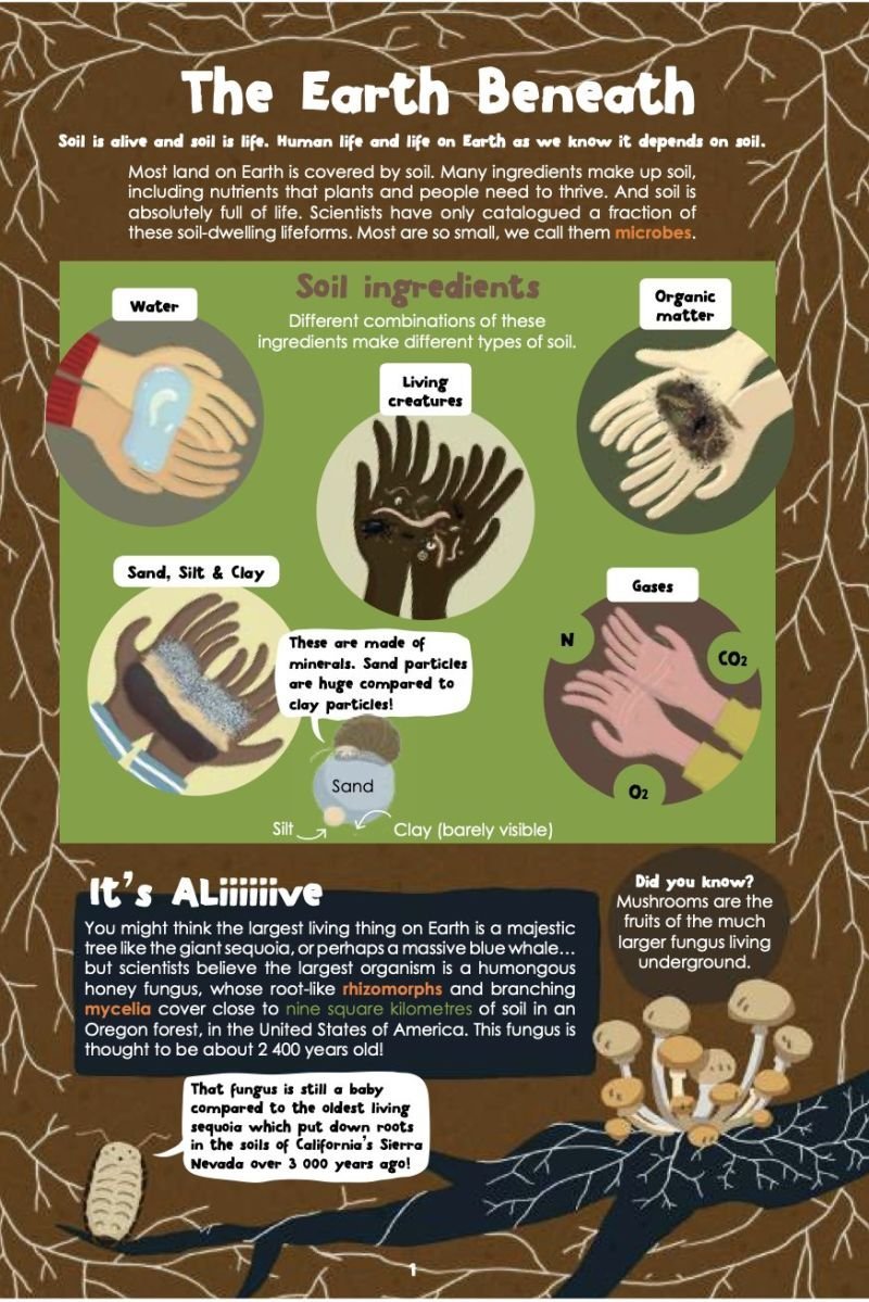Soil is alive and soil is life. 🐛🪲🐞🦋🐜🐞🦗

Human life and life on Earth as we know it depends on soil. #SoilBiodiversity 

via <a href="/FAO/">Food and Agriculture Organization</a>