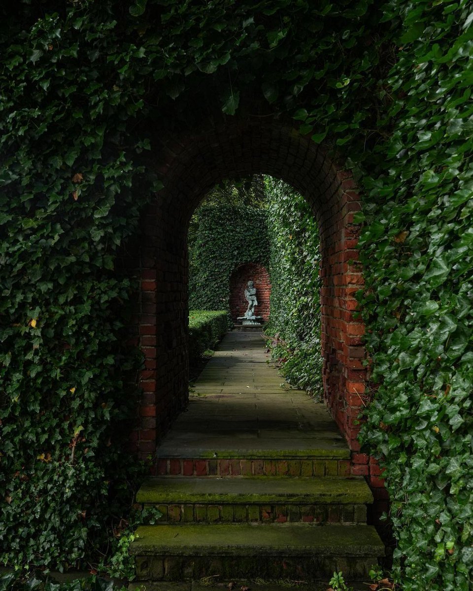 greendreaams's tweet image. 