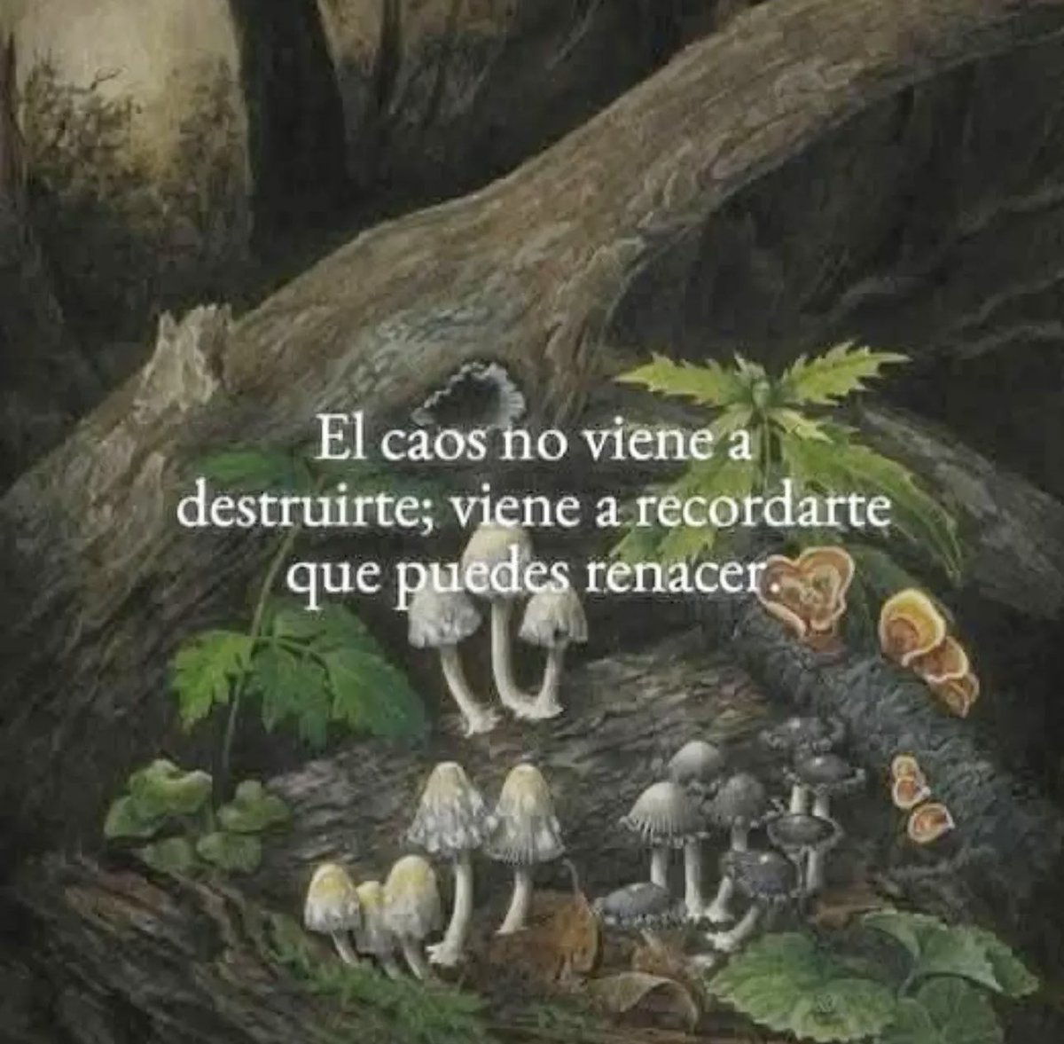 Bacchus 𓄂𓆃 ♛♜♞☥☉ (@feellg2) on Twitter photo 