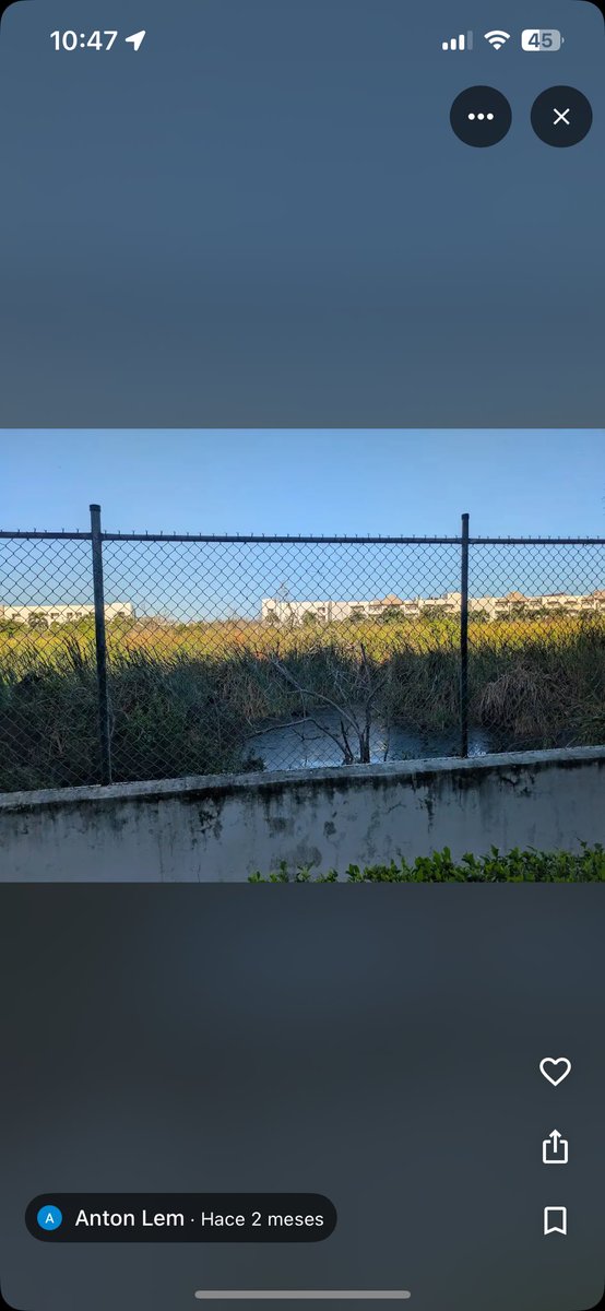 Los teóricos y expertos en desapariciones no han hablado acerca del pantano y las zonas aledañas boscosas cerca del hotel y la playa en cuestión. Los patrones forenses y estudios criminalísticos arrojan que esas zonas deben ser urgentemente exploradas.