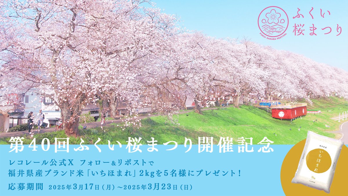 recorrer_jfn's tweet photo. 📢 第40回ふくい桜まつり 開催記念
フォロー＆リポストで福井県産ブランド米
「いちほまれ」2kgを5名様に #プレゼント🎁

🔻応募は簡単
①＠recorrer_jfn をフォロー
②この投稿をリポスト
⚠️3/23(日)まで

🔻詳細
⇒https://t.co/KWxRWWbDhn

#レコレール #ふくい桜まつり #いちほまれ https://t.co/Bg9XIEPBpU