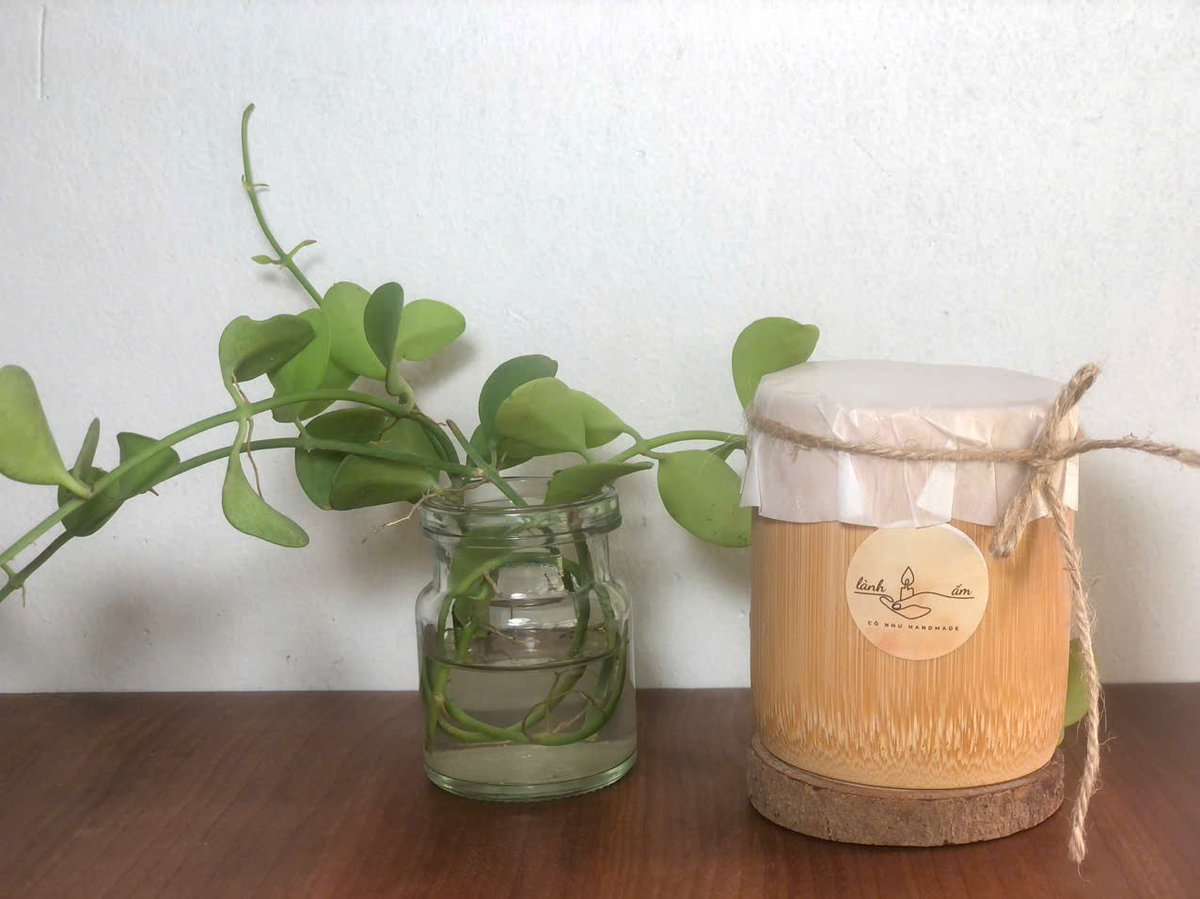 Benative tweet media