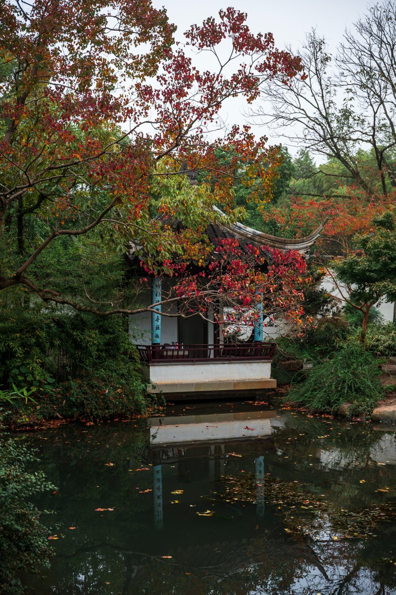 AstrHori's tweet image. Travel back to ancient China with AstrHori AF27mmF2.8⌛️
Credit: @哇塞老张
#astrhori #autolens #portraits #photos