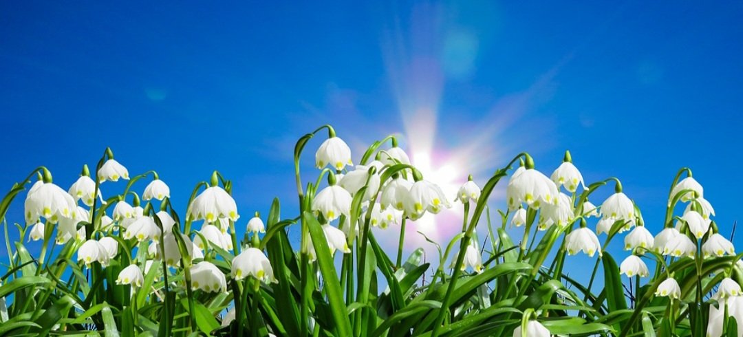 Guten Morgen 🥳❤️☕️🥰
Es war ein schöner, aber komischer Sonntag.
War viel los, aber wir haben alle versorgt und gefüttert.
Aber wie gesagt,  ein komischer Tag.
War einfach so.🤔
Hab mir den kleinen Finger mit heissem Wasser verbrüht 🙄 bin jetzt durch 😁😁
Habt es fein heute❤️