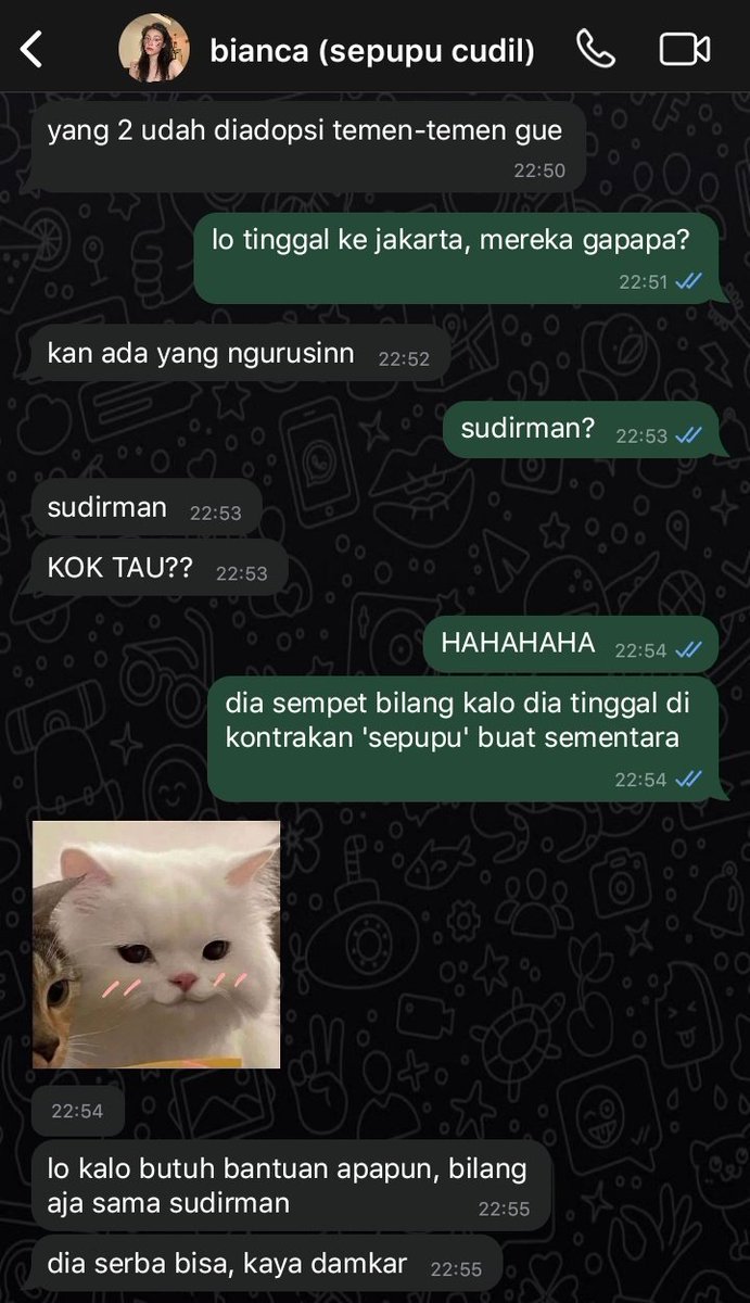 cak tweet media